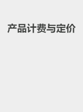 政策与定价-teamspeak